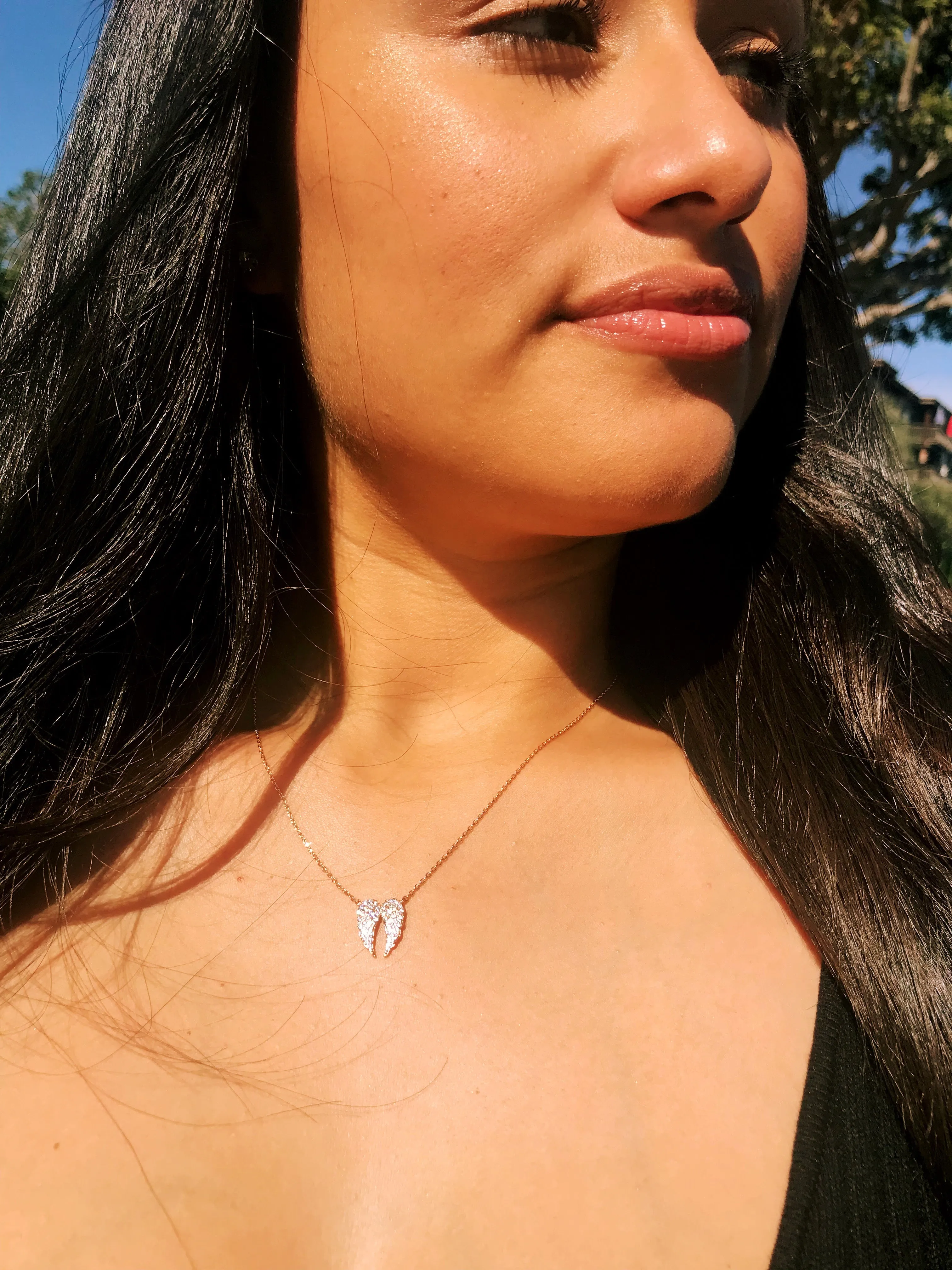 Angel Wings Necklace
